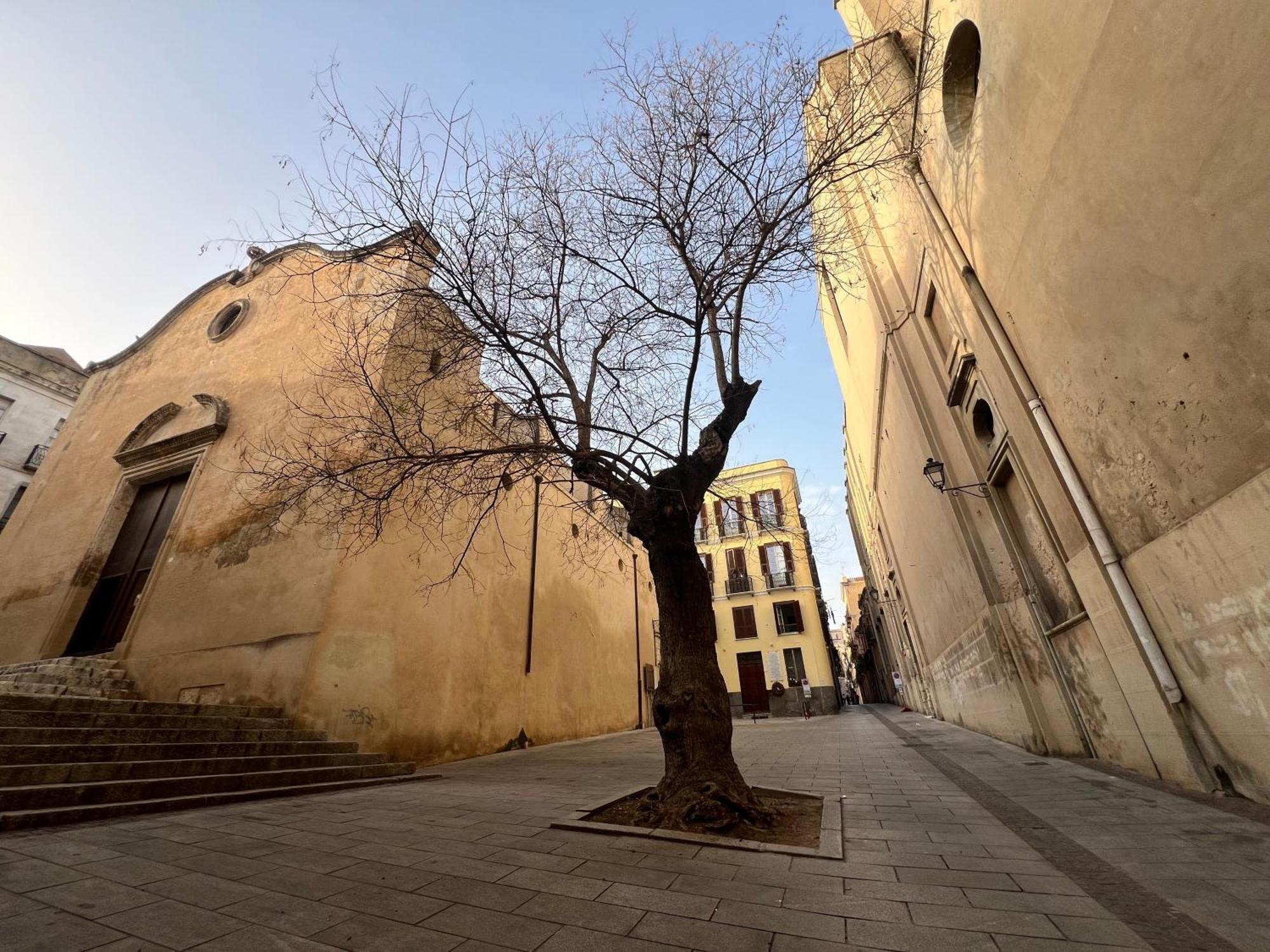 Sant Efisio Cagliari Suite エクステリア 写真